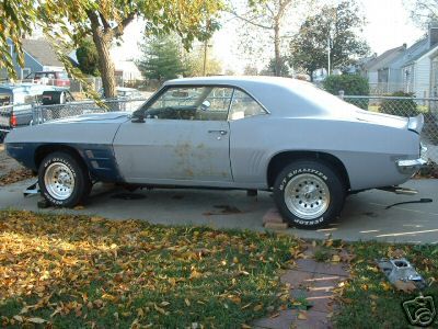 firebird