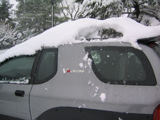 Snow wing