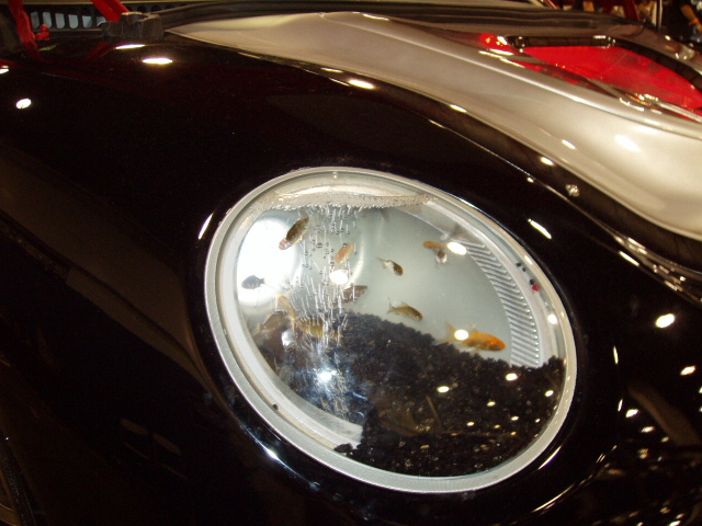 VW Beetle headlight