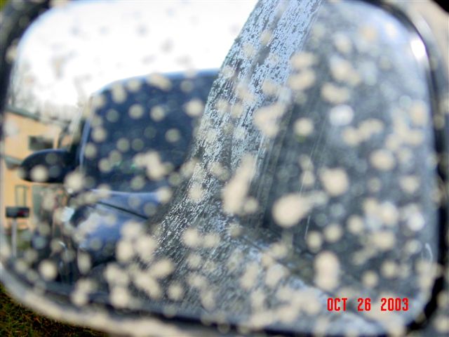 My muddy mirror shot