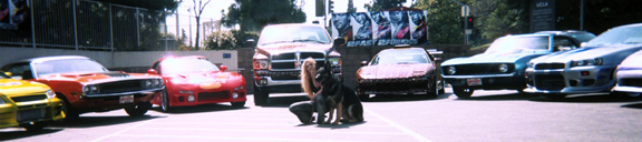 2Fast 2Furious photo shoot