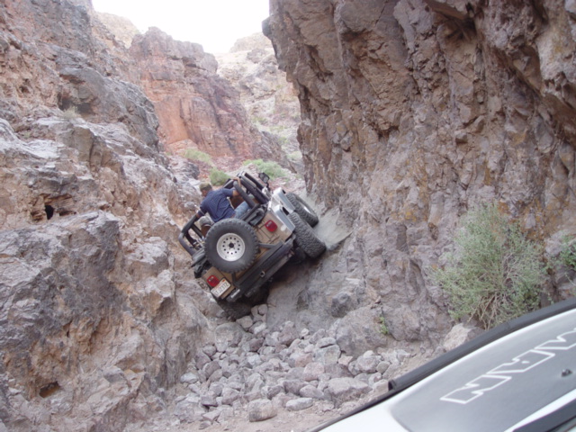Hanging with the Jeep