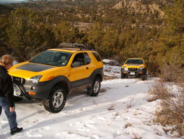 yellow beasts