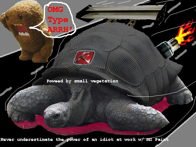cf-turtle2