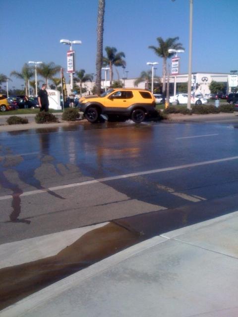 my poor baby