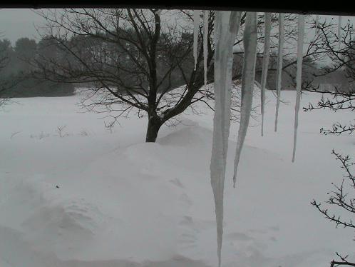 Storm of 1-23-05