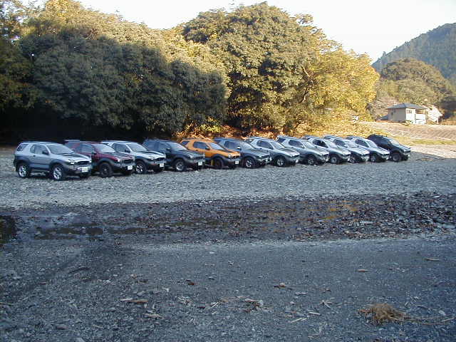 12VX`s lined up
