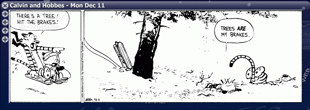 Calvin-And-Hobbes-Fetcher_2