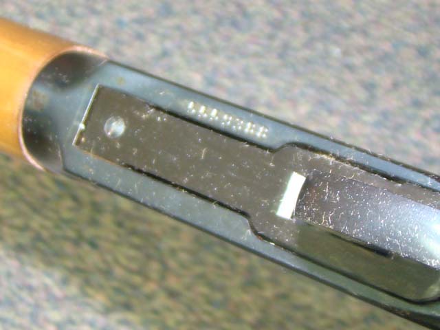 DSC01017
