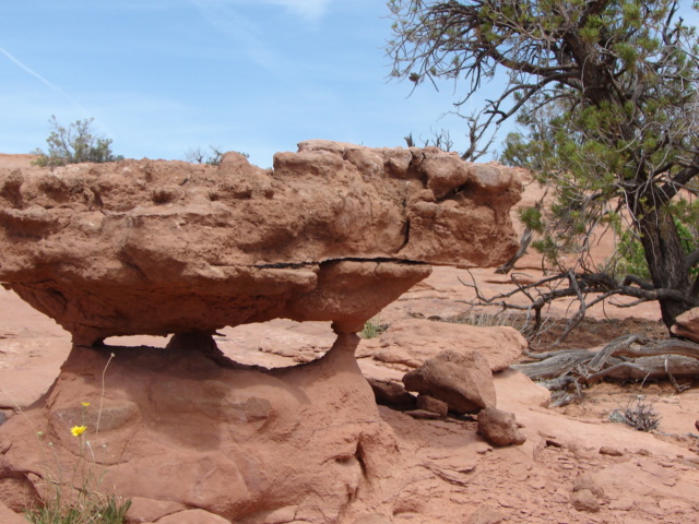 TRIPOD ROCK