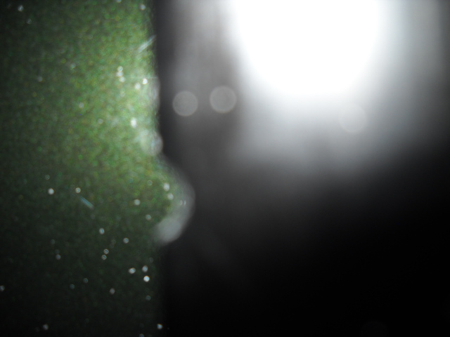 DSCN01081