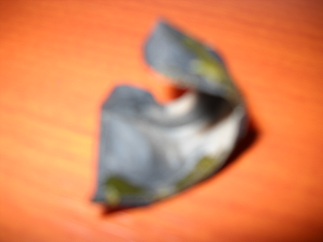 DSCN0307