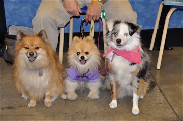 3 of my crew