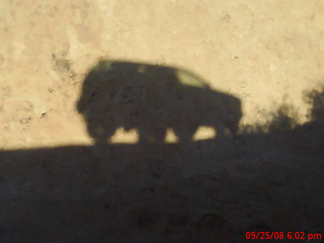 Hells_Revenge_VX_Shadow