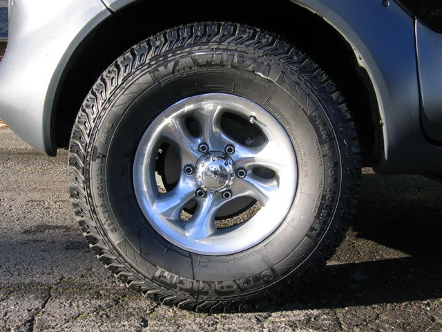 Stubby's new shoes