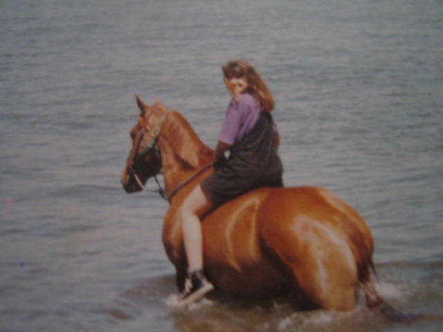 my old horse Reno