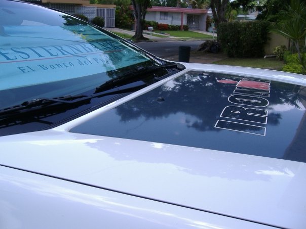 Hood insert restoring