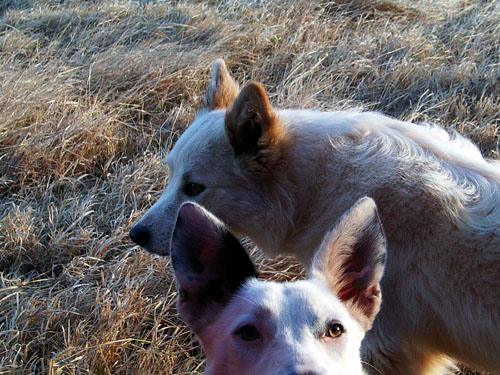 Fritz & Betty
