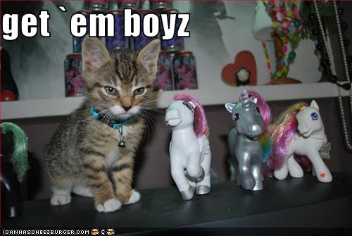 cat funnies....
