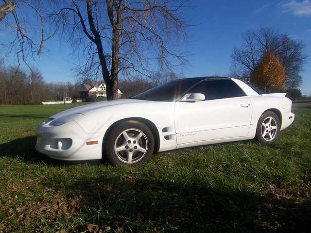 My firebird with T-Tops
