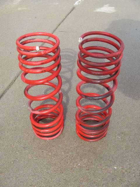 Rear Springs