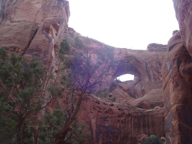 Moab2008