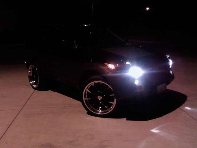 she loves the night life