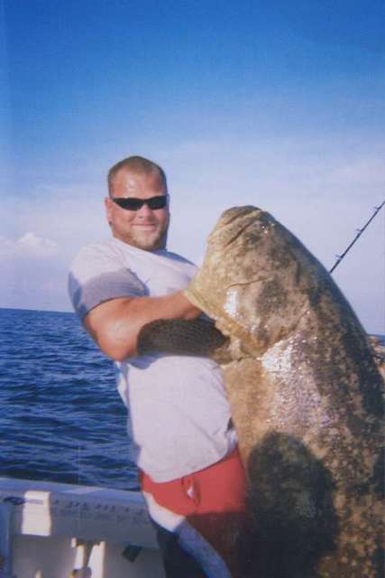 ak goliath grouper