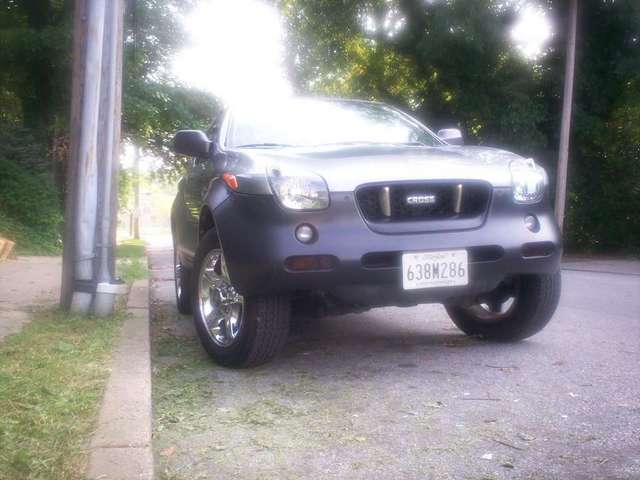 tinted front signals
