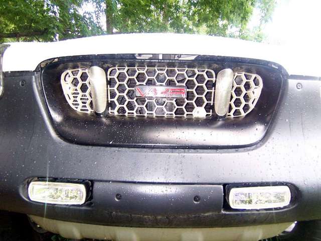 painted grill