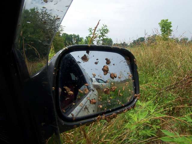 Joe in the rear view.