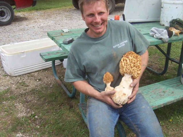 now theres a mushroom!!