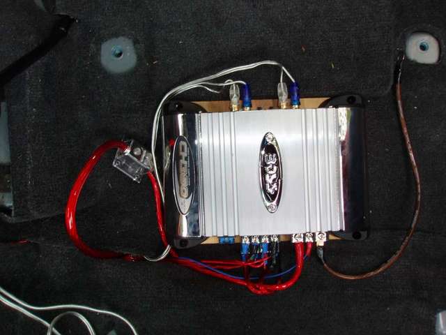 amp