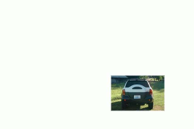 Window Tint