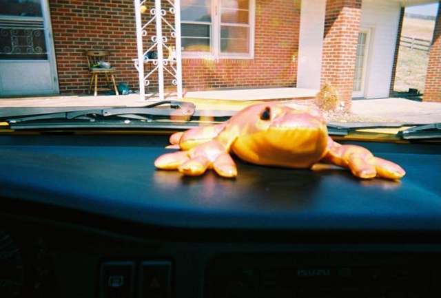 my_watch_frog