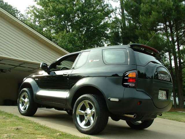 blacktailights