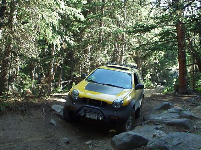 Yankee Hill Pic 01