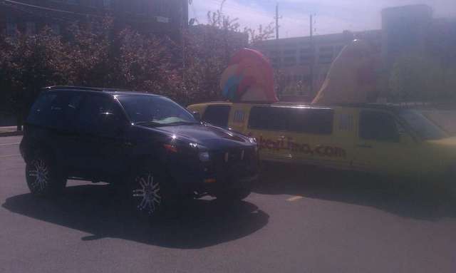 Hanging out with Chicken Limo!
