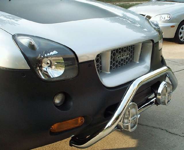 Painted Grill 2