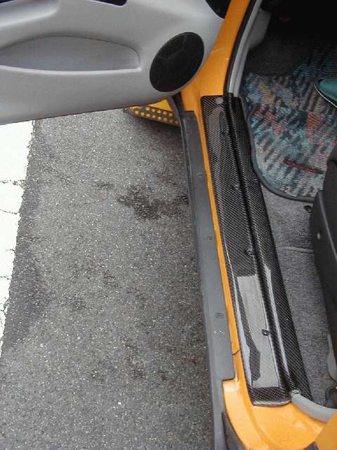 c/f scuff plates