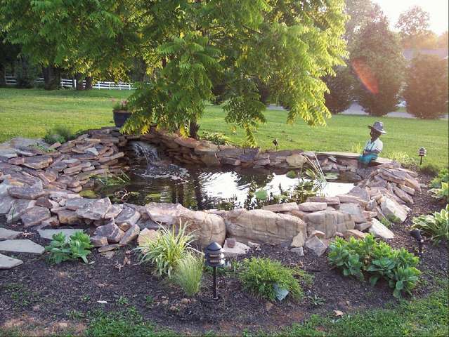 My new Pond