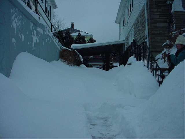 Find the VX in this picture.