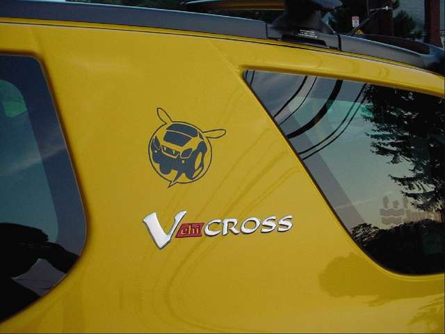 custom paint - BEE
