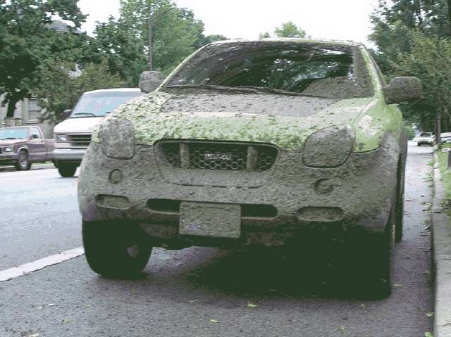 mud