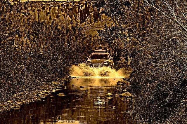 Artsy_Fartsy_Dub_1_VX_Site