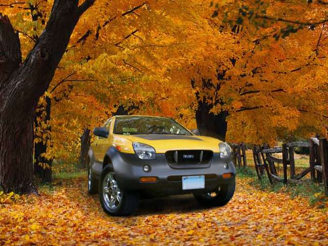 Wallpaper Autumn VX
