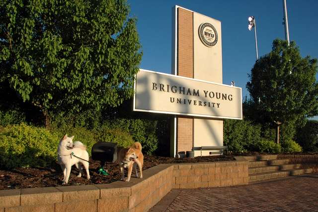 Brigham Young University for Dogs