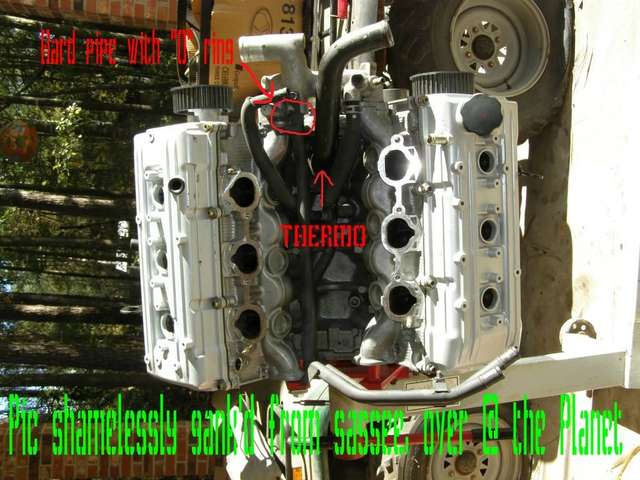thermo
