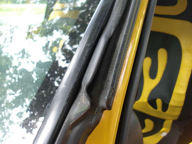 Driver Door weather strip