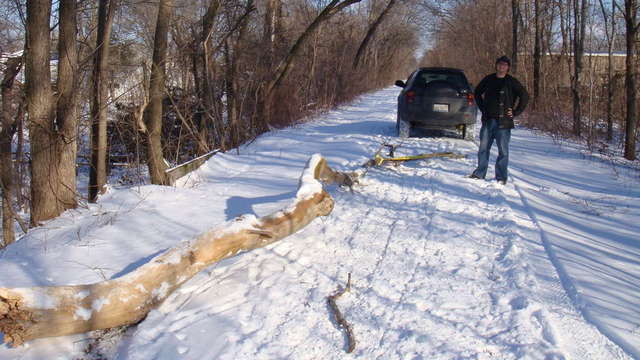 Tree Haul 09'